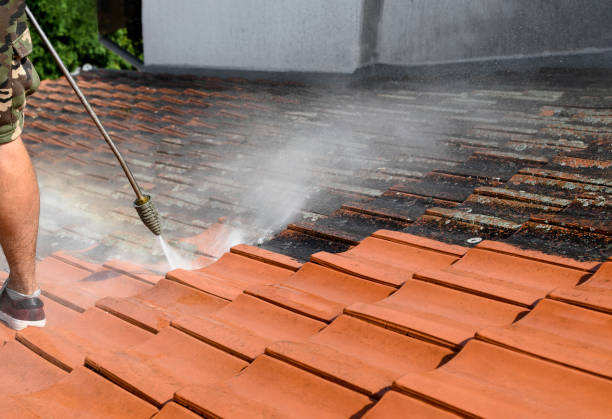 Best Roof Power Washing Services  in Cassville, WV
