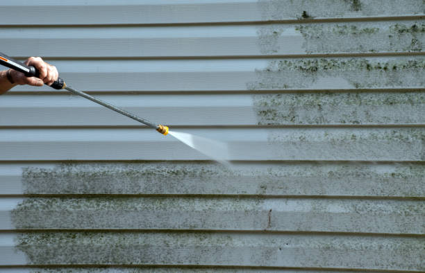 Best Exterior Home Cleaning  in Cassville, WV